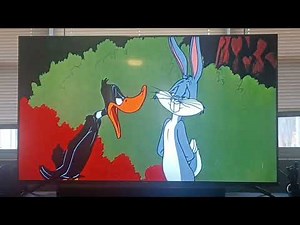 Boomerang: Looney Tunes Promo