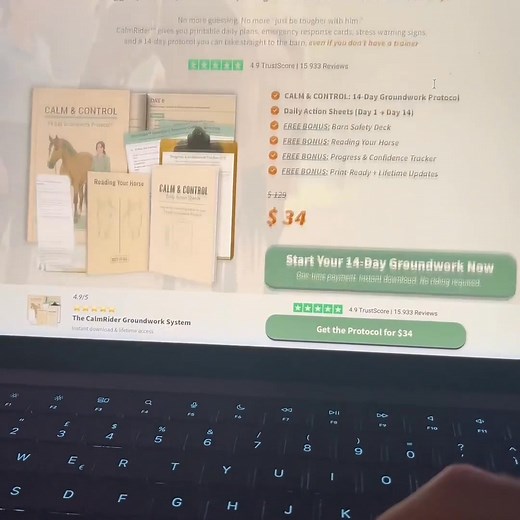  Groundwork for reactive horses—made calm, safe, and doable. If...