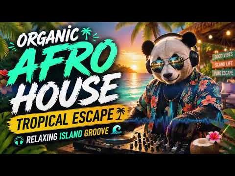 Organic Afro House 🌴 Tropical Escape | Relaxing Island Groove