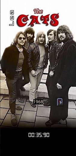 The Cats - Lea (1968) #video#shorts#music#lirycs#best#song#pop#album#cats#hit#lea#60s#70s