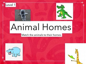 Animal Homes Level 1