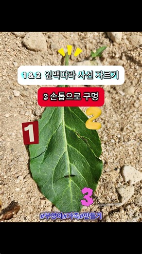 #Owl#나뭇잎#잎맥#잎자루#Family#체험