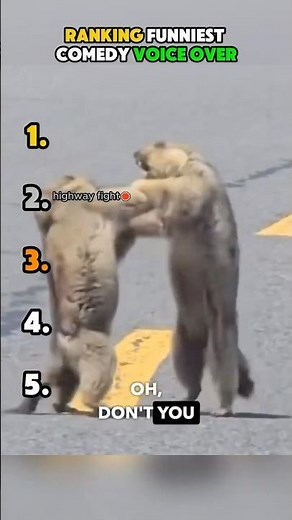 Ranking Funniest Comedy Voice Over