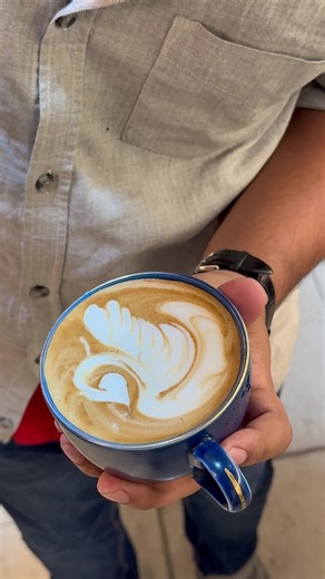 Swan latte art coffee course for everyone #swan #latte #art #coffee #courses