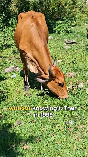 We Almost Starved Earth—Traditional Farmers Saved Us