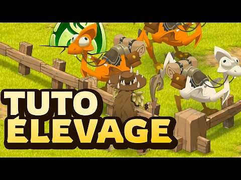 The Breeding Tutorial on DOFUS 3.5