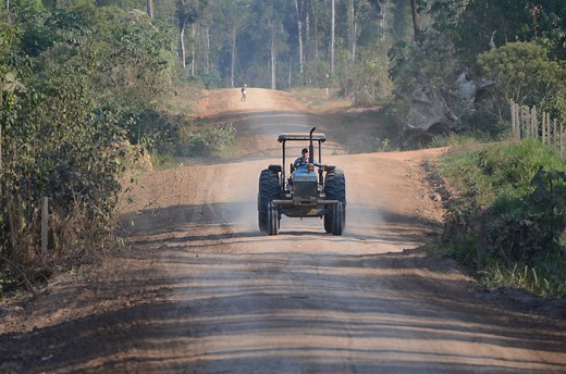 Perú: las 10 historias ambientales que marcaron el 2020