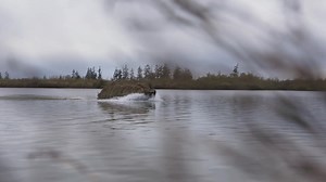 Toughbrush is one of the best ways to brush in your blind. The structure gives a 3D look to the blind helping you blend in better. Made from an extremely durable material that will last season after season. Use it on boat blinds, stand up blinds, or even layouts. Learn more at fabrand.com #fawaterfowl #finalapproachwaterfowl #fabrand #fa #goosehunting #waterfowlhunting #hunting #duckhunting | Final Approach Waterfowl