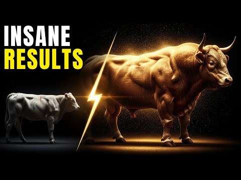 From 300kg to 500kg: Extreme Cattle Weight Gain in 90 Days