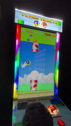 Flappy Bird Arcade Game Challenge