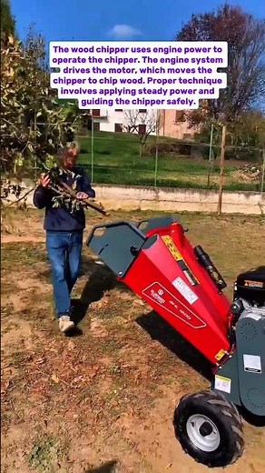 Blu Bird Srl M100 Wood Chipper Mastery: Techniques, Safety, and Productivity Insights