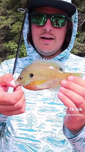 #fishing #catfishing #trotline