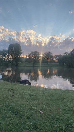 Friday #park #wildlife #everyonefollowers | Cecilio Obiasada