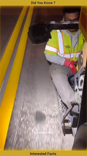 309K views · 3.5K reactions | Did You Know? #facts #interestingfacts #factsoflife #didyouknow #sciencefacts #factsdaily #science #astronomy #space #fact #realitfeelit #viral #foryou #foryoupage #contentcreator #instagramreels #instgramgrowth #viralreels #trendingreels #appreciation #communityevents #communityengagement #familyfriendly #selfimprovement | Fact Haqeeqat page | Facebook