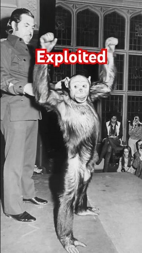 Half Human, Half Ape? The Oliver Mystery