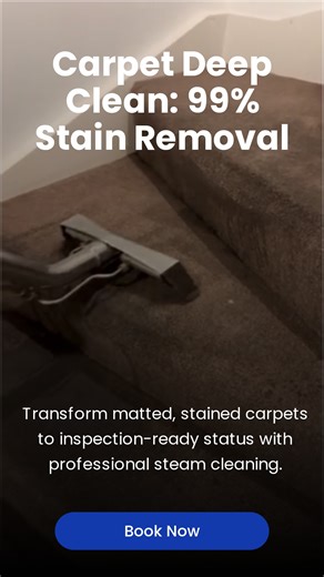 (G'day!) Stair carpets are hands-down one of the trickiest spots in the whole house. Give us a bell today to book your next pro deep clean and make sure you get that bond back! 💯 | O2O Cleaning