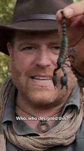 A cockroach with lobster claws and a poisoned tail that swings over its head? Least favorite animal in the world. See more from Josh Gates' adventures on Expedition Unknown, streaming now on Discovery | discovery