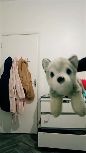 marcnagle2 (@wolfieandclarance)’s videos with original sound - ARCW