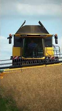 First rapeseed harvest with the New Holland CX6.90 Laterale on Arpad Farkas' farm
