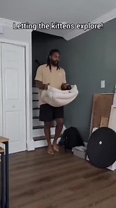 The kittens stay in a cat safe room until they gain some coordination and sense! This is when they're old enough to get free range of our home! You can s. | Fostering kittens