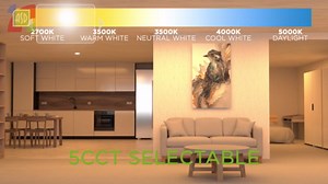 ASD 1 Pack LED Disk Lights 6 Inch, 15W 5CCT 2700K-5000K 1245LM CRI90+, Dimmable Flush Mount Ceiling Light Fixture, Low Profile Surface Mount Disc Lights, Junction Box or Recessed Can Install, UL