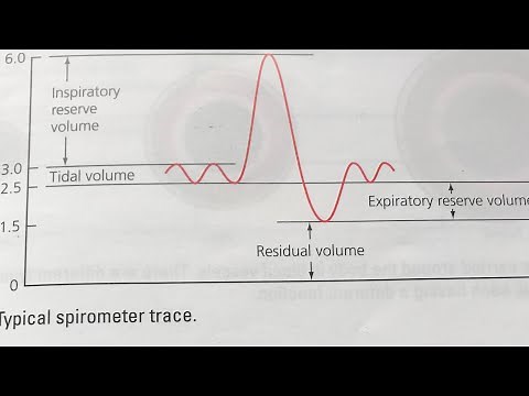 GCSE PE- Lung volumes Spirometer trace