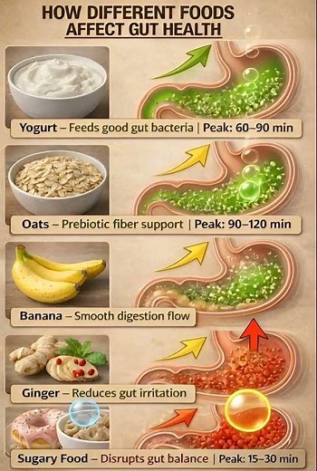 How Different Foods Affect Your Gut Health