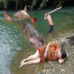 2.2M views · 6.9K reactions | Hello, today Primitive Cooking FM introduce Wild Skills Catch Big Fish Unique for Survival Thanks for watching #PrimitiveLife #PrimitiveCookingFM #CatchBigFish | Natural Azul | Facebook