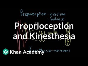 Proprioception and kinesthesia Video Lecture | Psychology and Sociology for MCAT