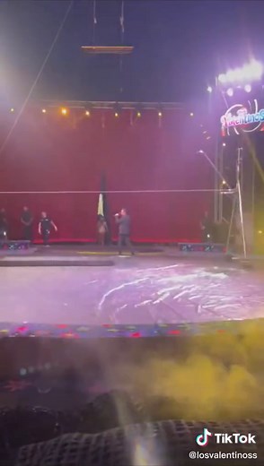 Spectacular Acrobatic Performances at The Amazing Circus