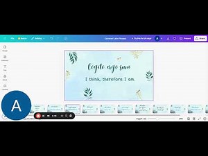 Common Latin Phrases Explained