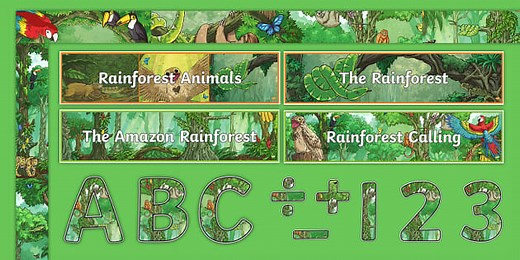 'Rainforest Calling' Amazon Rainforest Display Pack