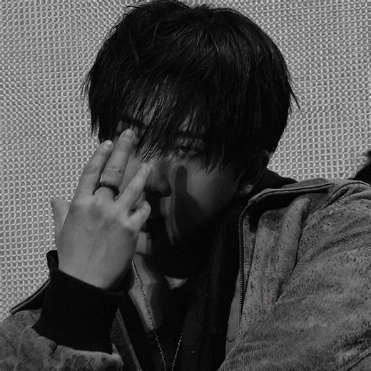 Stray Kids Orlando Anniversary: Fan Tribute and Hopes to Reunite