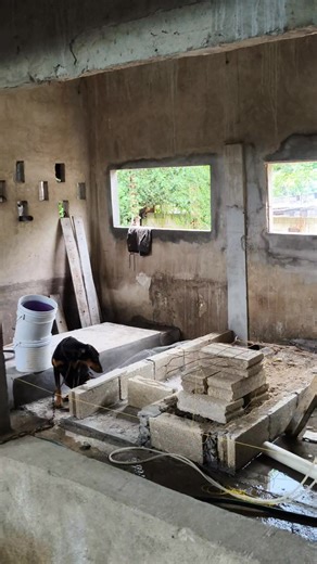 241 reactions · 14 comments | Ánimo mi líder! Aún disponibles cerdas para sacar lechones de abasto en La Granja del PROFE Cerdas comprobadas! | La Granja del PROFE | Facebook