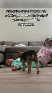 I tried Fake passing out on my dog 🤩😅😍 . . #funnyvideos #sacrecam #prankvideo #funnymoments #fouryou #sacreprank #foryourpage #troll #trick #magic | Sacre Prank USA