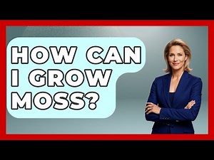 How Can I Grow Moss? - The Plant Enthusiast