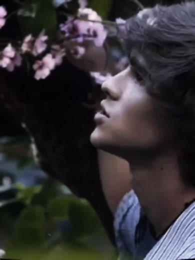 Brenton Thwaites🇦🇺✨️|#brentonthwaites #bluelagoon #brentonthwaitesedit #bluelagoontheawakening