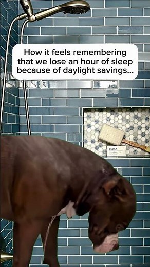 Prepare for Daylight Savings