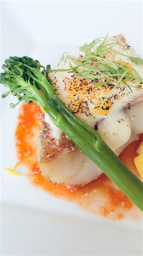 Birthday Celebration in Japan | Casual French Lunch Course 🇫🇷🇯🇵