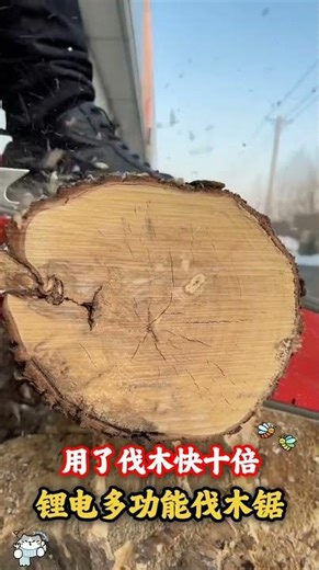 Extreme Tree Cutting on the Mountain