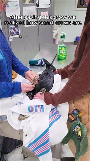 A Simple Act of Kindness — Led to an Incredible Animal Story