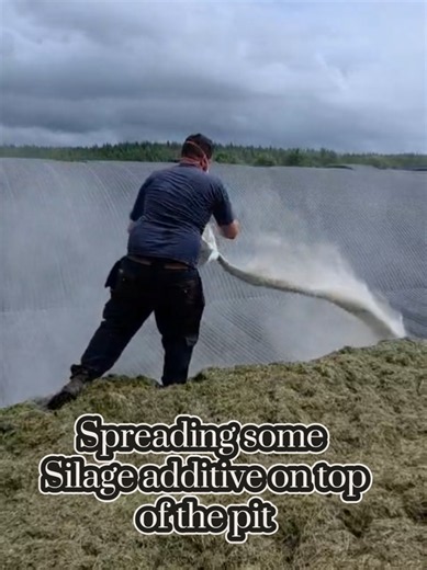 Silage Additive Application: Top-Cover Technique for Better Fermentation