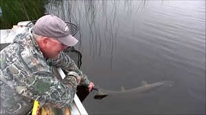 Magnifique brochet, accompagné du beau geste, que du bon ! 👌🎣🐟 Je vous en souhaite tout plein des comme ça pour 2017 ! 💪😌 Aime la page pour du contenu quotidien ! 👍👍 © Canada Fishing Guide Sa chaine youtube : http://buff.ly/2mTIvCb | Passion Pêches