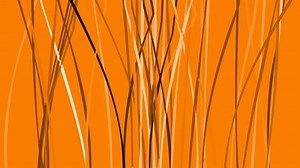 Background Animated Color Lines Stock Footage Video (100% Royalty-free) 1014202214 | Shutterstock