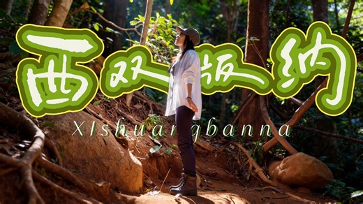 我在这找回了失去的“五感”｜4K杜比视界