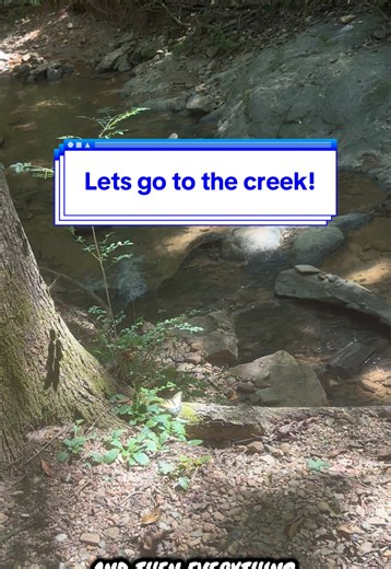 We went Crystal hunting in a creek for the first time last fall and we are hooked! Looking back now I wish we were more aware of the wildlife and water creatures that live in North Carolina. Very different from the Great Lakes we are used to. @Emerald Hollow Mine #emeraldhollowmine #creek