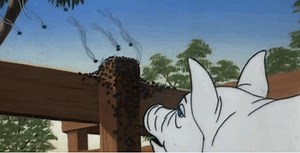 "Spider Rain": Why Are Millions of Australian Arachnids Jumping From High Places?