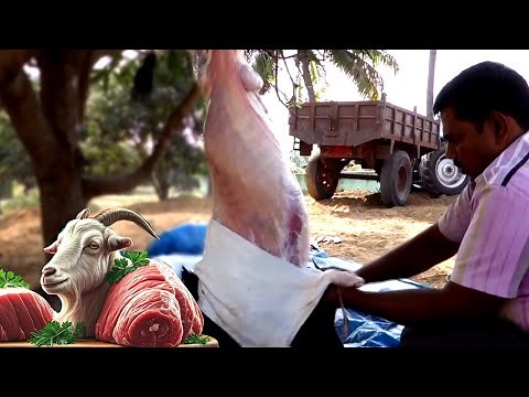 Full Goat Cutting Techniques from a Rural Village | The Ultimate Guide to Goat Meat Cuts