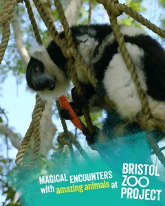 Experience magical encounters with amazing animals, from our new range of animal experiences at Bristol Zoo Project. | Bristol Zoo Project
