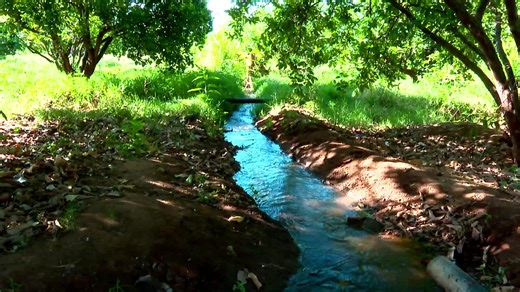 Mootummaan naannoo Oromiyaa Jiruu fi Jireenya Horsiisee Bultootaa Jijjiiruuf Hojjetamaa Jira. #Ena Afaan Oromoo #ENA#TOI | Ethiopian News Agency/afaanoromoo